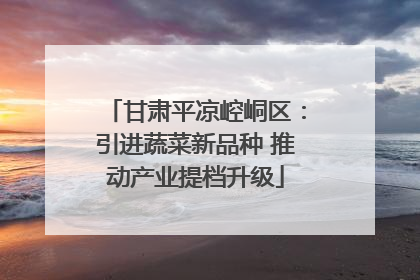 甘肃平凉崆峒区：引进蔬菜新品种 推动产业提档升级